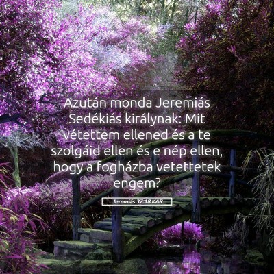Picture 05 - Jeremiás 37:18 KAR - Azután monda Jeremiás Sedékiás királynak: - Bible Verse Picture