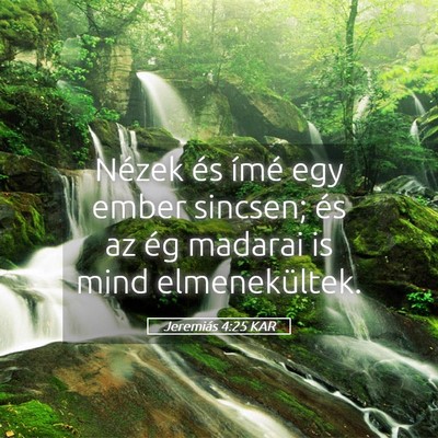 Picture 05 - Jeremiás 4:25 KAR - Nézek és ímé egy ember sincsen; és az ég - Bible Verse Picture