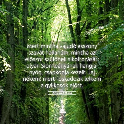Picture 05 - Jeremiás 4:31 KAR - Mert mintha vajudó asszony szavát hallanám, - Bible Verse Picture
