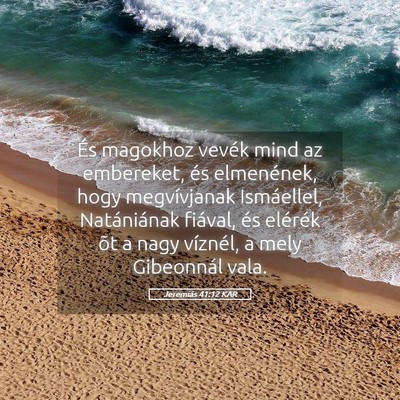 Picture 05 - Jeremiás 41:12 KAR - És magokhoz vevék mind az embereket, és - Bible Verse Picture