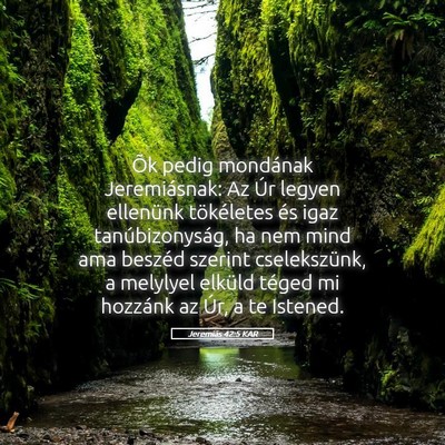Picture 05 - Jeremiás 42:5 KAR - Õk pedig mondának Jeremiásnak: Az Úr legyen - Bible Verse Picture