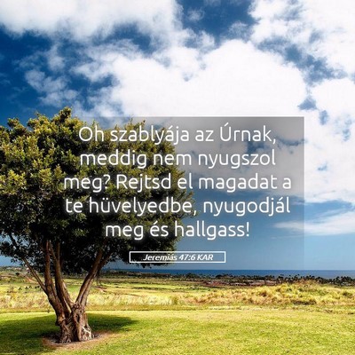 Picture 05 - Jeremiás 47:6 KAR - Oh szablyája az Úrnak, meddig nem nyugszol meg? - Bible Verse Picture