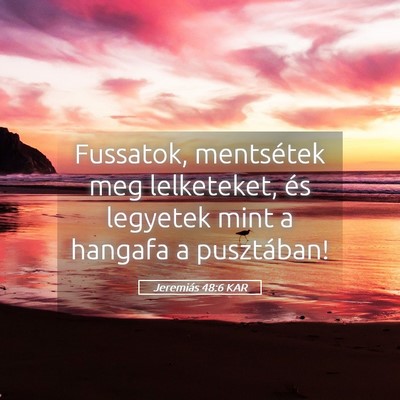 Picture 05 - Jeremiás 48:6 KAR - Fussatok, mentsétek meg lelketeket, és legyetek - Bible Verse Picture