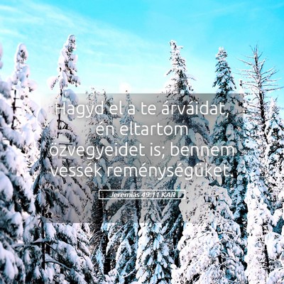 Picture 05 - Jeremiás 49:11 KAR - Hagyd el a te árváidat, én eltartom - Bible Verse Picture