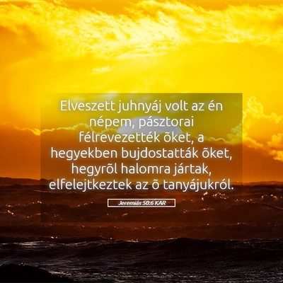 Picture 05 - Jeremiás 50:6 KAR - Elveszett juhnyáj volt az én népem, pásztorai - Bible Verse Picture