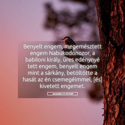 Picture 05 - Jeremiás 51:34 KAR - Benyelt engem, megemésztett engem Nabukodonozor, - Bible Verse Picture