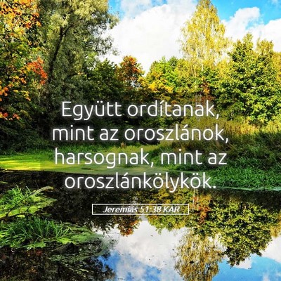 Picture 05 - Jeremiás 51:38 KAR - Együtt ordítanak, mint az oroszlánok, - Bible Verse Picture