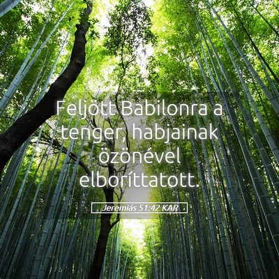 Picture 05 - Jeremiás 51:42 KAR - Feljött Babilonra a tenger, habjainak - Bible Verse Picture