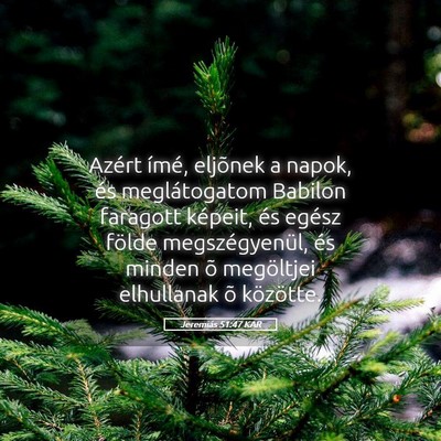 Picture 05 - Jeremiás 51:47 KAR - Azért ímé, eljõnek a napok, és meglátogatom - Bible Verse Picture