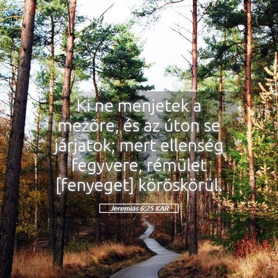 Picture 05 - Jeremiás 6:25 KAR - Ki ne menjetek a mezõre, és az úton se - Bible Verse Picture