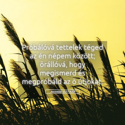 Picture 05 - Jeremiás 6:27 KAR - Próbálóvá tettelek téged az én népem - Bible Verse Picture