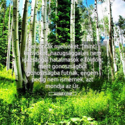 Picture 05 - Jeremiás 9:3 KAR - Felvonták nyelvöket, [mint] kézívöket, - Bible Verse Picture