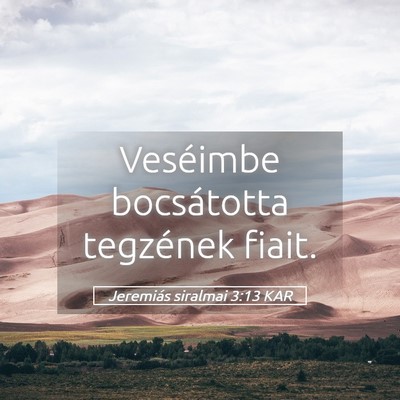 Picture 05 - Jeremiás siralmai 3:13 KAR - Veséimbe bocsátotta tegzének - Bible Verse Picture