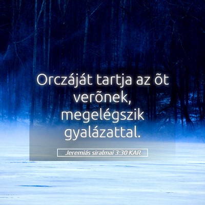 Picture 05 - Jeremiás siralmai 3:30 KAR - Orczáját tartja az õt verõnek, megelégszik - Bible Verse Picture