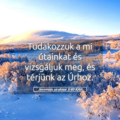 Picture 05 - Jeremiás siralmai 3:40 KAR - Tudakozzuk a mi útainkat és vizsgáljuk meg, - Bible Verse Picture