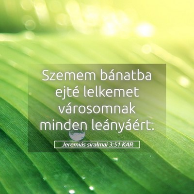 Picture 05 - Jeremiás siralmai 3:51 KAR - Szemem bánatba ejté lelkemet városomnak minden - Bible Verse Picture