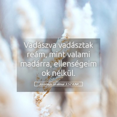 Picture 05 - Jeremiás siralmai 3:52 KAR - Vadászva vadásztak reám, mint valami madárra, - Bible Verse Picture