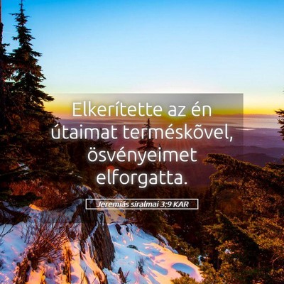 Picture 05 - Jeremiás siralmai 3:9 KAR - Elkerítette az én útaimat terméskõvel, - Bible Verse Picture