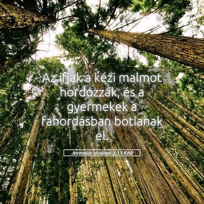 Picture 05 - Jeremiás siralmai 5:13 KAR - Az ifjak a kézi malmot hordozzák, és a - Bible Verse Picture