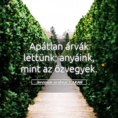 Picture 05 - Jeremiás siralmai 5:3 KAR - Apátlan árvák lettünk; anyáink, mint az - Bible Verse Picture