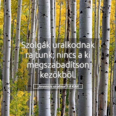 Picture 05 - Jeremiás siralmai 5:8 KAR - Szolgák uralkodnak rajtunk; nincs a ki - Bible Verse Picture