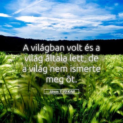 Picture 05 - János 1:10 KAR - A világban volt és a világ általa lett, de a - Bible Verse Picture