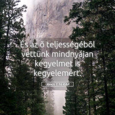 Picture 05 - János 1:16 KAR - És az õ teljességébõl vettünk mindnyájan - Bible Verse Picture