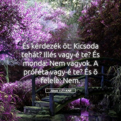 Picture 05 - János 1:21 KAR - És kérdezék õt: Kicsoda tehát? Illés - Bible Verse Picture