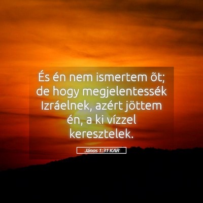 Picture 05 - János 1:31 KAR - És én nem ismertem õt; de hogy megjelentessék - Bible Verse Picture