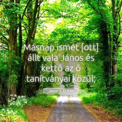Picture 05 - János 1:35 KAR - Másnap ismét [ott] állt vala János és kettõ - Bible Verse Picture