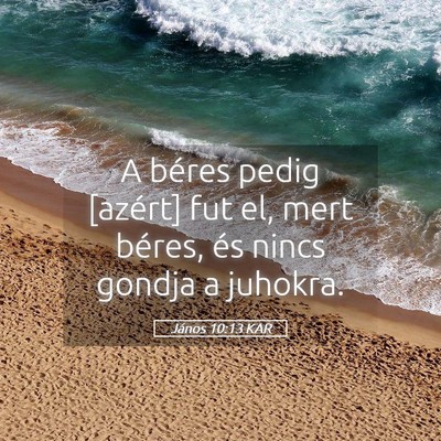 Picture 05 - János 10:13 KAR - A béres pedig [azért] fut el, mert béres, és - Bible Verse Picture