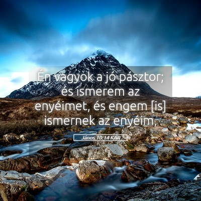 Picture 05 - János 10:14 KAR - Én vagyok a jó pásztor; és ismerem az - Bible Verse Picture