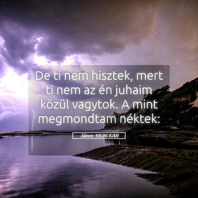 Picture 05 - János 10:26 KAR - De ti nem hisztek, mert ti nem az én juhaim - Bible Verse Picture