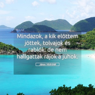 Picture 05 - János 10:8 KAR - Mindazok, a kik elõttem jöttek, tolvajok és - Bible Verse Picture