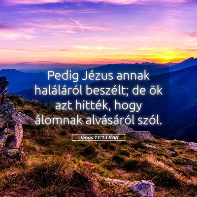 Picture 05 - János 11:13 KAR - Pedig Jézus annak haláláról beszélt; de õk - Bible Verse Picture