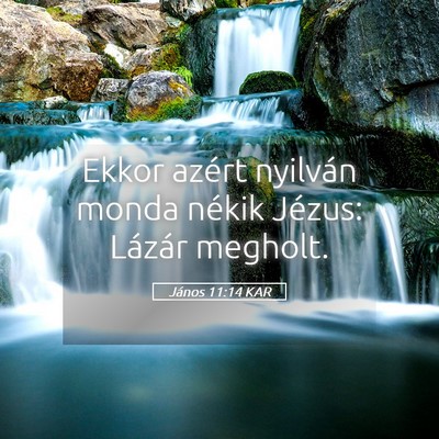 Picture 05 - János 11:14 KAR - Ekkor azért nyilván monda nékik Jézus: - Bible Verse Picture