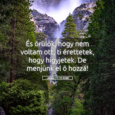 Picture 05 - János 11:15 KAR - És örülök, hogy nem voltam ott, ti - Bible Verse Picture