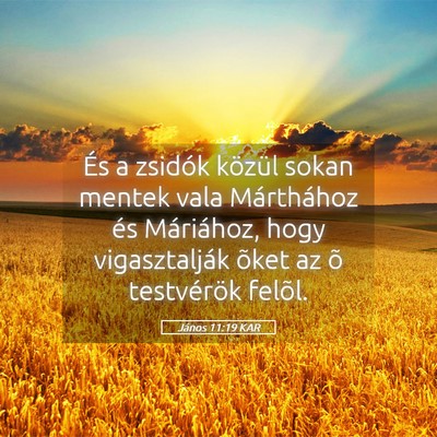 Picture 05 - János 11:19 KAR - És a zsidók közül sokan mentek vala - Bible Verse Picture