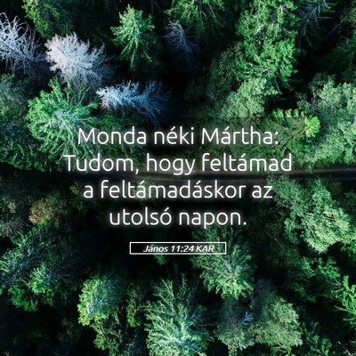 Picture 05 - János 11:24 KAR - Monda néki Mártha: Tudom, hogy feltámad a - Bible Verse Picture