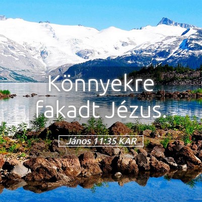 Picture 05 - János 11:35 KAR - Könnyekre fakadt - Bible Verse Picture