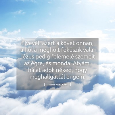 Picture 05 - János 11:41 KAR - Elvevék azért a követ onnan, a hol a megholt - Bible Verse Picture