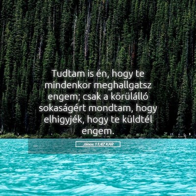 Picture 05 - János 11:42 KAR - Tudtam is én, hogy te mindenkor meghallgatsz - Bible Verse Picture