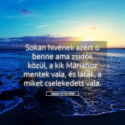 Picture 05 - János 11:45 KAR - Sokan hivének azért õ benne ama zsidók - Bible Verse Picture