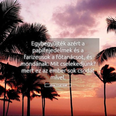 Picture 05 - János 11:47 KAR - Egybegyûjték azért a papifejedelmek és a - Bible Verse Picture