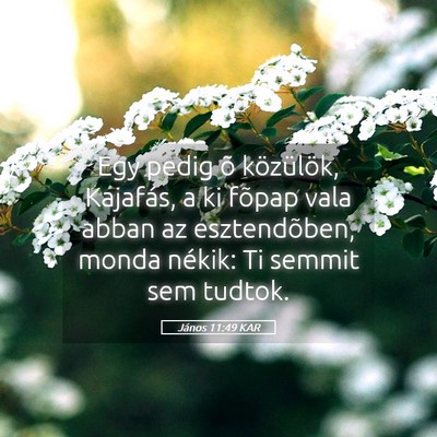 Picture 05 - János 11:49 KAR - Egy pedig õ közülök, Kajafás, a ki fõpap - Bible Verse Picture