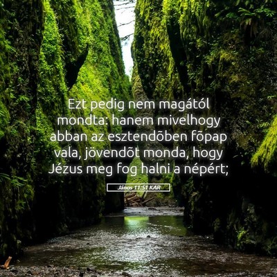 Picture 05 - János 11:51 KAR - Ezt pedig nem magától mondta: hanem mivelhogy - Bible Verse Picture