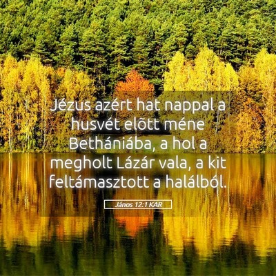 Picture 05 - János 12:1 KAR - Jézus azért hat nappal a husvét elõtt méne - Bible Verse Picture