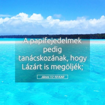 Picture 05 - János 12:10 KAR - A papifejedelmek pedig tanácskozának, hogy - Bible Verse Picture