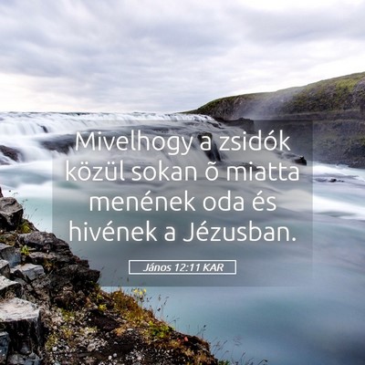 Picture 05 - János 12:11 KAR - Mivelhogy a zsidók közül sokan õ miatta - Bible Verse Picture