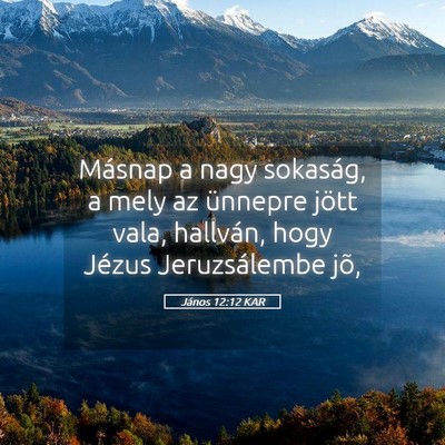 Picture 05 - János 12:12 KAR - Másnap a nagy sokaság, a mely az ünnepre jött - Bible Verse Picture
